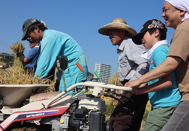 青空の下、数人で農機具を操作して稲刈りをする様子