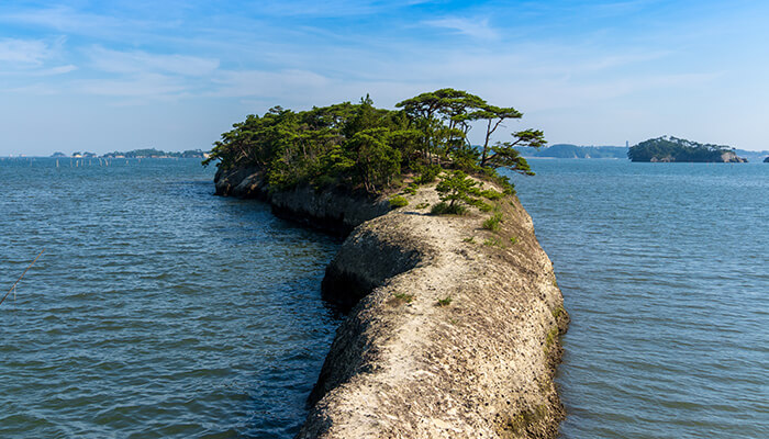 自然・体験情報の一覧ページへ 青空の下、海に向かって伸びる景勝地「馬の背」