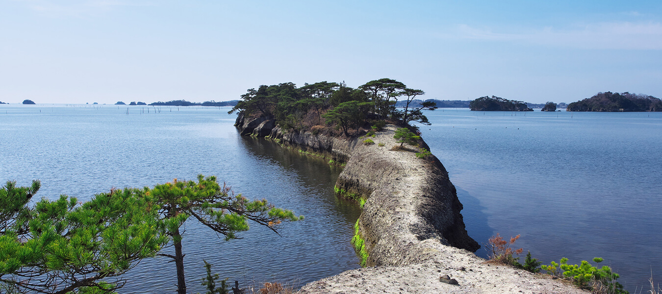青空の下、海に向かって伸びる景勝地「馬の背」
