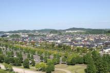 手前にきれいに木が並んで植えられており、奥に住宅地がある風景写真