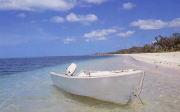 青い空と透明の海水の海と白いボートの写真