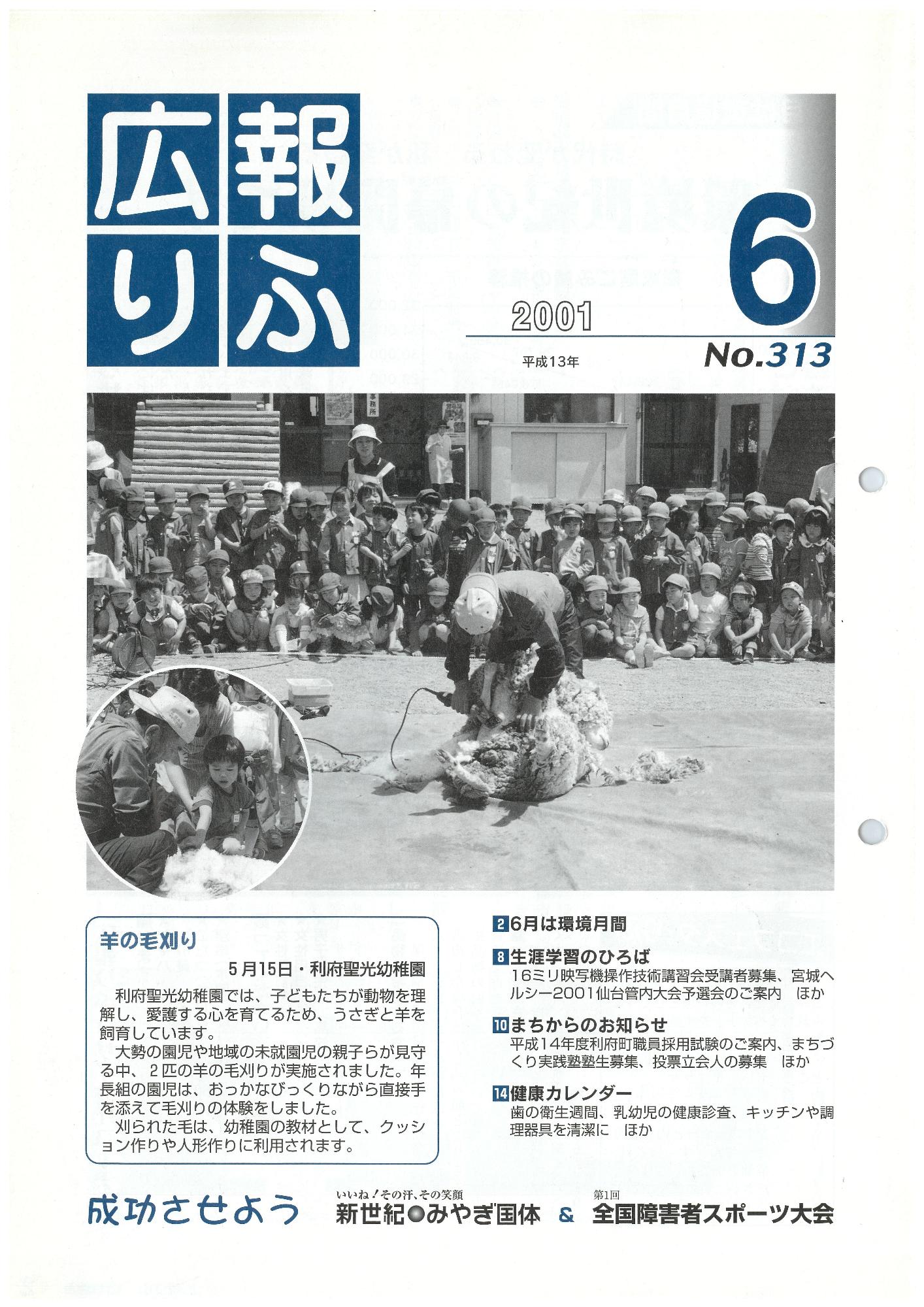 広報りふ 第313号