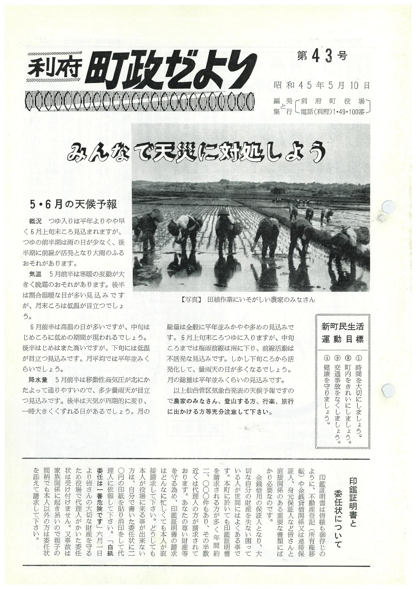 町政だより 第43号