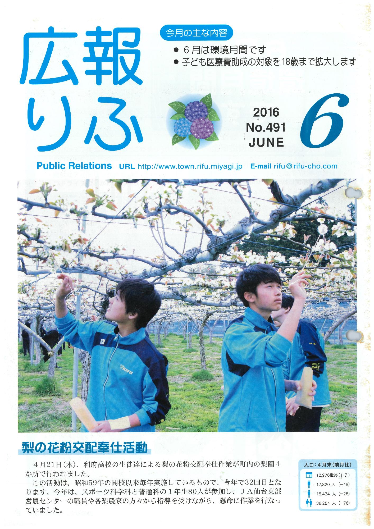 広報りふ 第491号
