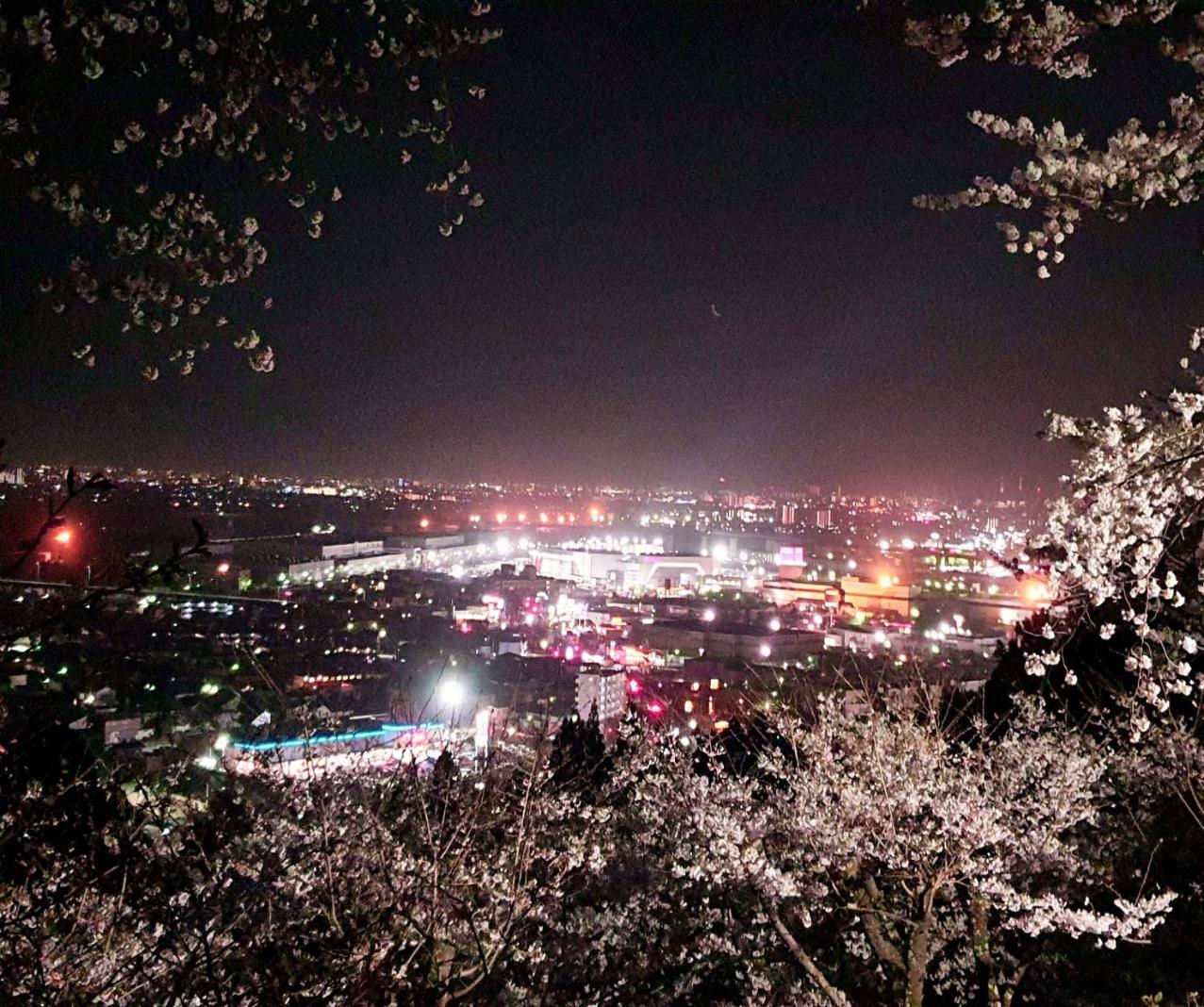 夜の館山公園から見渡す利府町内