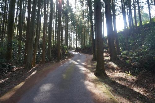 入口駐車場から頂上までは歩いて約5分